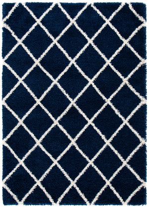 Safavieh Hudson Shag 222 Power Loomed Polypropylene Shag Rug SGH222N-8