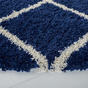 Safavieh Hudson Shag 222 Power Loomed Polypropylene Shag Rug SGH222N-8