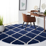 Safavieh Hudson Shag 222 Power Loomed Polypropylene Shag Rug SGH222N-8