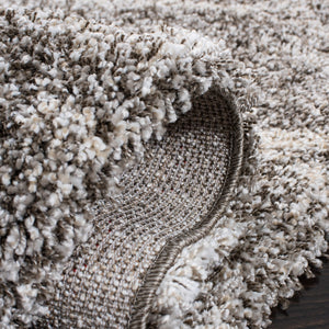 Safavieh Hudson Shag 265 Power Loomed Polypropylene Shag Rug SGH265F-5