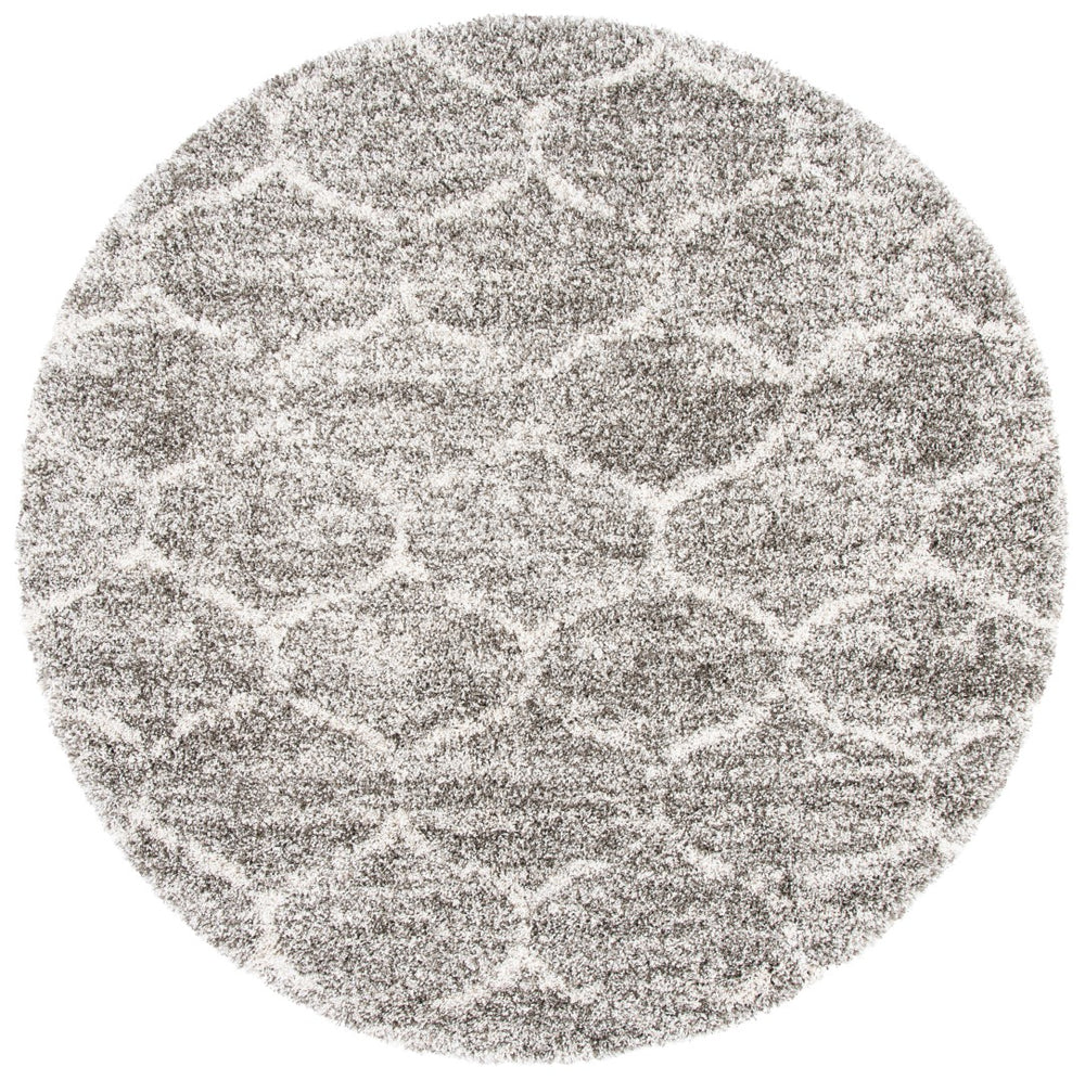 Safavieh Hudson Shag 265 Power Loomed Polypropylene Shag Rug SGH265F-9