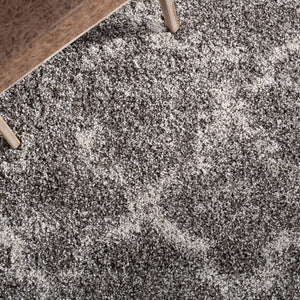 Safavieh Hudson Shag 269 Power Loomed Polypropylene Shag Rug SGH269F-5