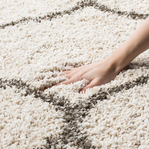 Safavieh Hudson Shag 280 Power Loomed Polypropylene Shag Rug SGH280A-26