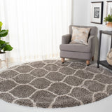 Safavieh Hudson Shag 280 Power Loomed Polypropylene Shag Rug SGH280B-26