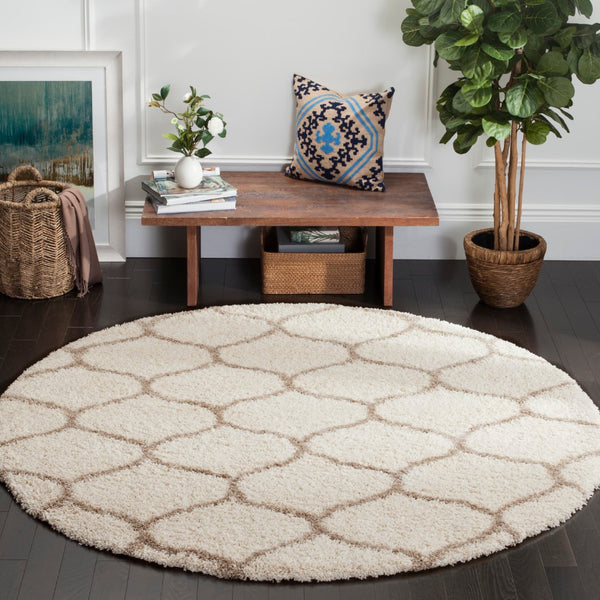 Safavieh Hudson Shag 280 Power Loomed Polypropylene Shag Rug SGH280D-3SQ