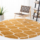 Safavieh Hudson Shag 280 Power Loomed Polypropylene Shag Rug SGH280E-8