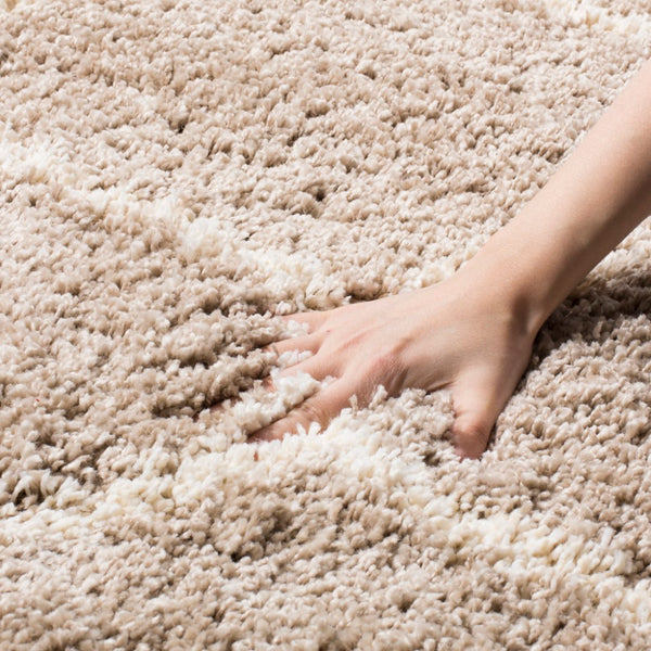 Safavieh Hudson Shag 280 Power Loomed Polypropylene Shag Rug SGH280S-9SQ