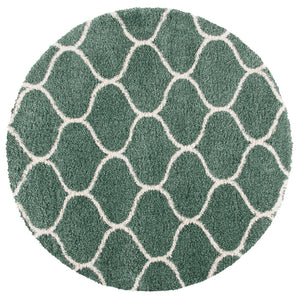 Safavieh Hudson Shag 280 Power Loomed Polypropylene Shag Rug SGH280X-8