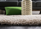 Safavieh Hudson Shag 281 Power Loomed Polypropylene Shag Rug SGH281A-3SQ