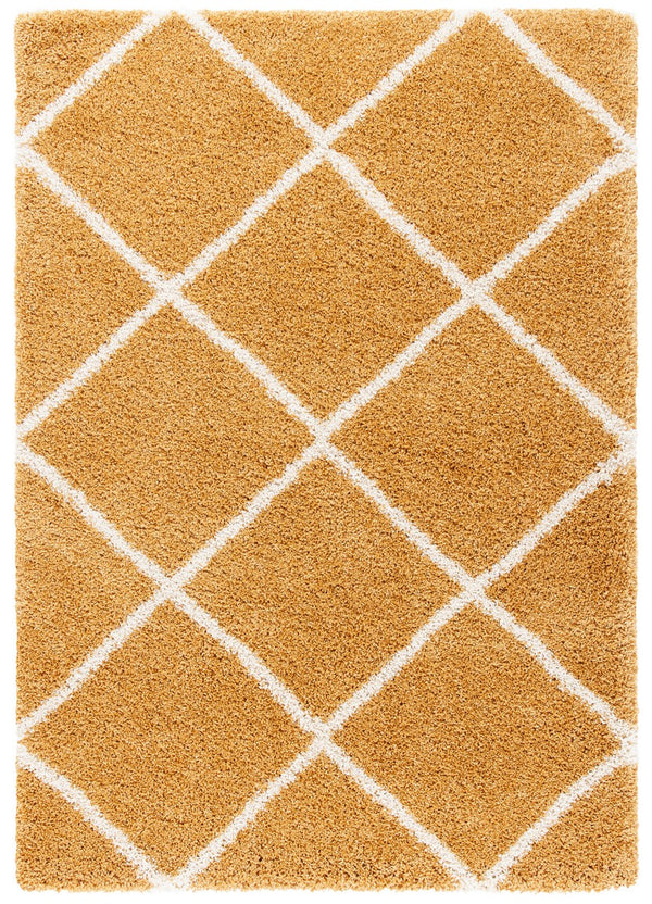Safavieh Hudson Shag 281 Power Loomed Polypropylene Shag Rug SGH281F-5