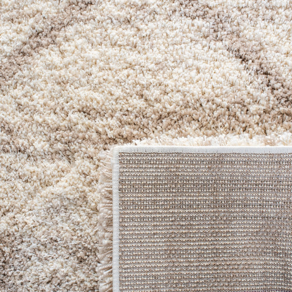 Safavieh Hudson Shag 281 Power Loomed Polypropylene Shag Rug SGH281H-5