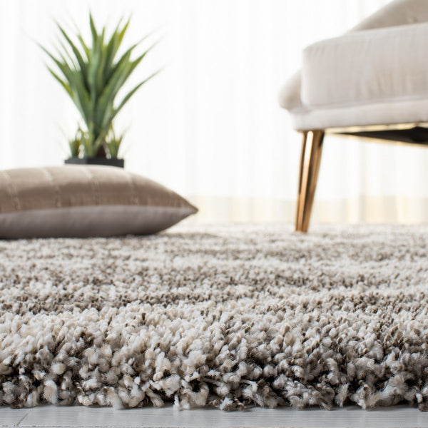 Safavieh Hudson Shag 281 Power Loomed Polypropylene Shag Rug SGH281K-5