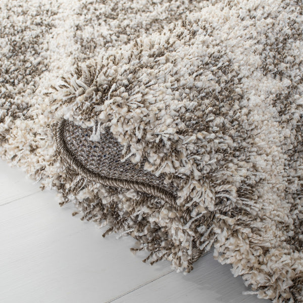 Safavieh Hudson Shag 281 Power Loomed Polypropylene Shag Rug SGH281K-5