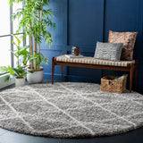 Safavieh Hudson Shag 281 Power Loomed Polypropylene Rug SGH281K-8SQ