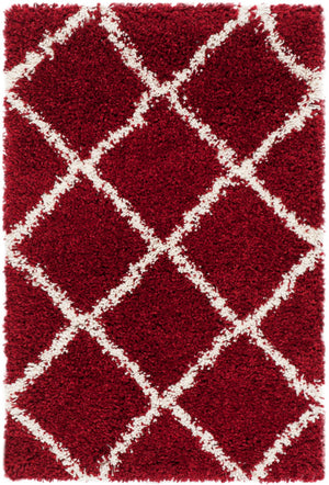 Safavieh Hudson Shag 281 Power Loomed Polypropylene Shag Rug SGH281R-5SQ