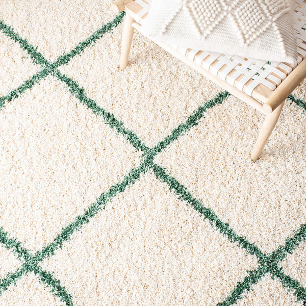 Safavieh Hudson Shag 281 Power Loomed Polypropylene Shag Rug SGH281X-5