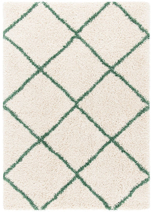 Safavieh Hudson Shag 281 Power Loomed Polypropylene Shag Rug SGH281X-5
