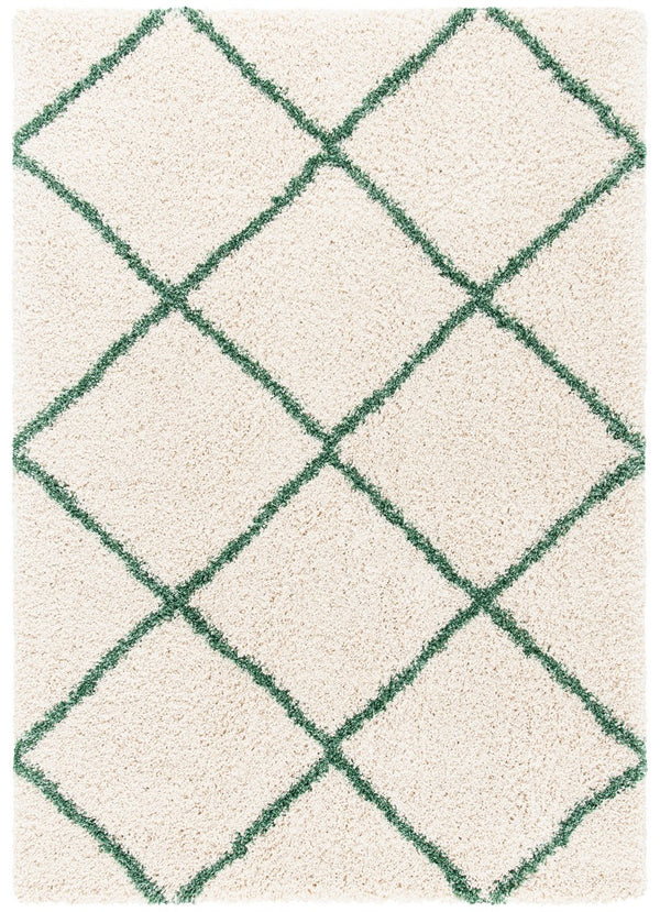 Safavieh Hudson Shag 281 Power Loomed Polypropylene Shag Rug SGH281X-5