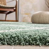 Safavieh Hudson Shag 281 Power Loomed Polypropylene Rug SGH281Y-2