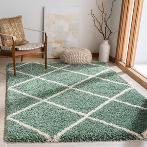 Safavieh Hudson Shag 281 Power Loomed Polypropylene Shag Rug SGH281Y-5