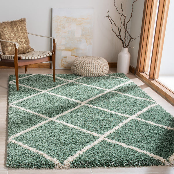 Safavieh Hudson Shag 281 Power Loomed Polypropylene Shag Rug SGH281Y-5