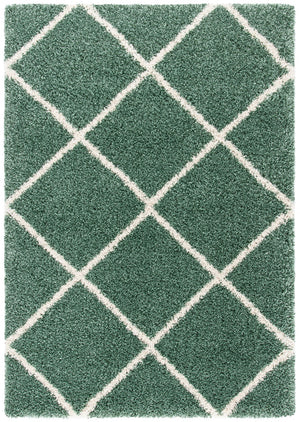 Safavieh Hudson Shag 281 Power Loomed Polypropylene Rug SGH281Y-2