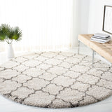 Safavieh Hudson Shag 282 Power Loomed Polypropylene Shag Rug SGH282A-3SQ