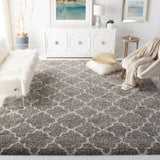 Safavieh Hudson Shag 282 Power Loomed Polypropylene Shag Rug SGH282B-3SQ