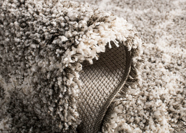 Safavieh Hudson Shag 282 Power Loomed Polypropylene Shag Rug SGH282B-3SQ