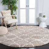 Safavieh Hudson Shag 282 Power Loomed Polypropylene Shag Rug SGH282F-8