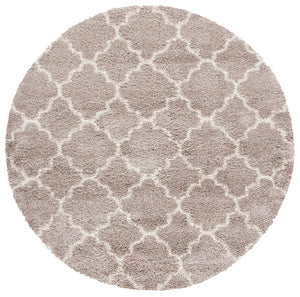 Safavieh Hudson Shag 282 Power Loomed Polypropylene Shag Rug SGH282F-8