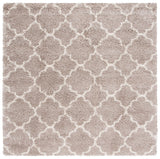 Safavieh Hudson Shag 282 Power Loomed Polypropylene Shag Rug SGH282F-8