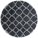 Safavieh Hudson Shag 282 Power Loomed Polypropylene Shag Rug SGH282G-8