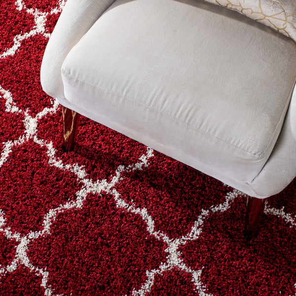 Safavieh Hudson Shag 282 Power Loomed Polypropylene Shag Rug SGH282Q-5