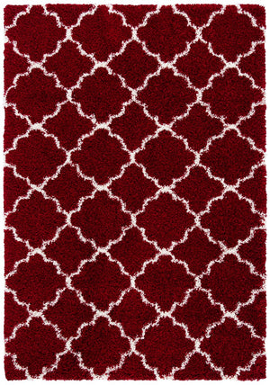 Safavieh Hudson Shag 282 Power Loomed Polypropylene Shag Rug SGH282Q-5