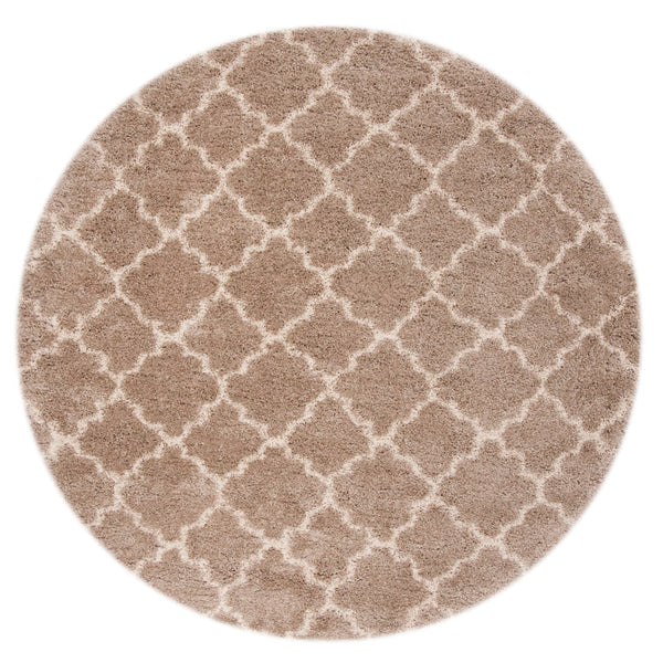 Safavieh Hudson Shag 282 Power Loomed Polypropylene Shag Rug SGH282S-8R