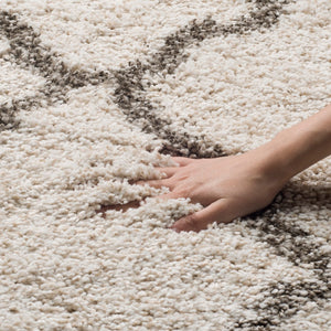 Safavieh Hudson Shag 283 Power Loomed Polypropylene Shag Rug SGH283A-5SQ