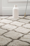 Safavieh Hudson Shag 283 Power Loomed Polypropylene Shag Rug SGH283A-9SQ