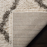 Safavieh Hudson Shag 283 Power Loomed Polypropylene Shag Rug SGH283A-9SQ