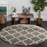 Safavieh Hudson Shag 283 Power Loomed Polypropylene Shag Rug SGH283B-9SQ