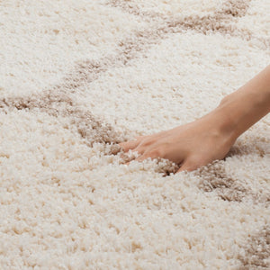 Safavieh Hudson Shag 283 Power Loomed Polypropylene Shag Rug SGH283D-5SQ