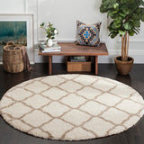 Safavieh Hudson Shag 283 Power Loomed Polypropylene Shag Rug SGH283D-216