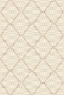 Safavieh Hudson Shag 283 Power Loomed Polypropylene Shag Rug SGH283D-5SQ