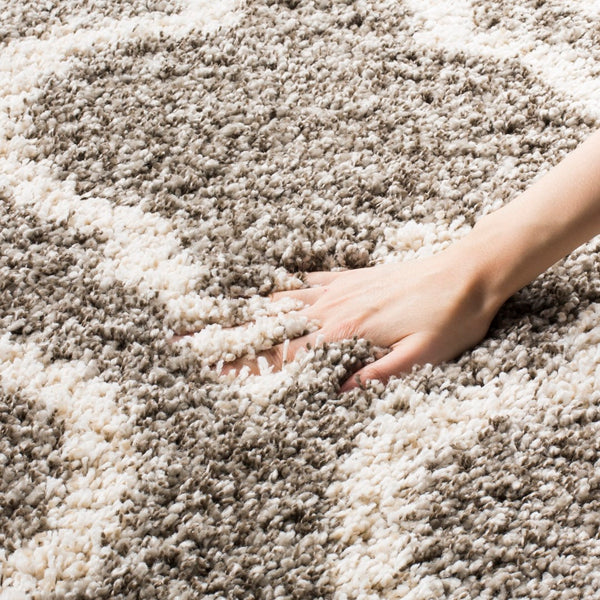 Safavieh Hudson Shag 284 Power Loomed Polypropylene Shag Rug SGH284B-5SQ