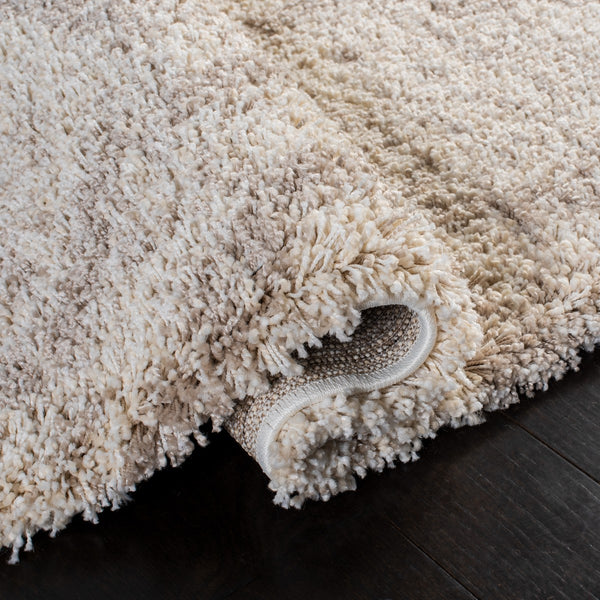 Safavieh Hudson Shag 284 Power Loomed Polypropylene Shag Rug SGH284E-5