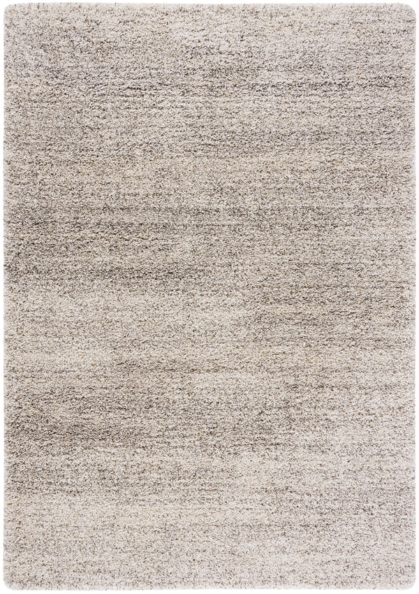 Safavieh Hudson Shag 295 Power Loomed Polypropylene Rug SGH295B-8SQ