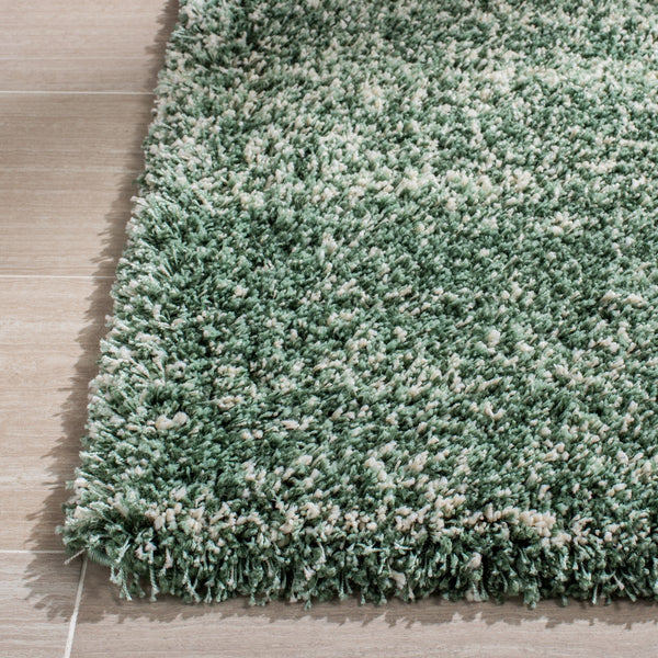Safavieh Hudson Shag 295 Power Loomed Polypropylene Shag Rug SGH295E-5