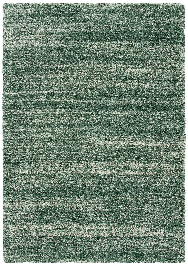 Safavieh Hudson Shag 295 Power Loomed Polypropylene Shag Rug SGH295E-5