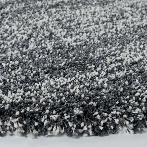 Safavieh Hudson Shag 295 Power Loomed Polypropylene Shag Rug SGH295F-9