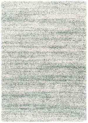 Safavieh Hudson Shag 295 Power Loomed Polypropylene Shag Rug SGH295X-5
